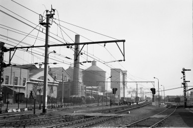 Couillet - BD-3580.jpg